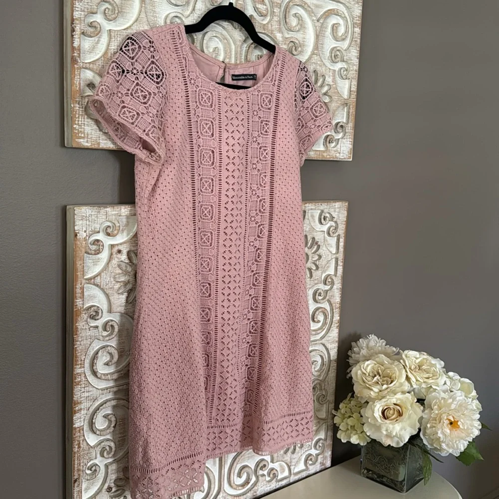 Abercrombie & Fitch Sheath Dress Lace Embroidered X Small - Picture 2 of 10